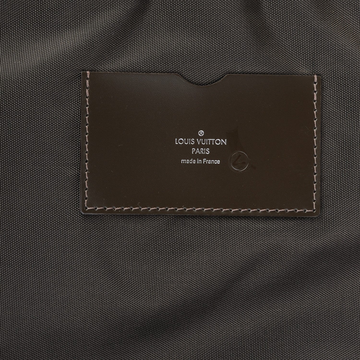 Louis Vuitton Taiga Pégase 45 Grizzli 6 of 8