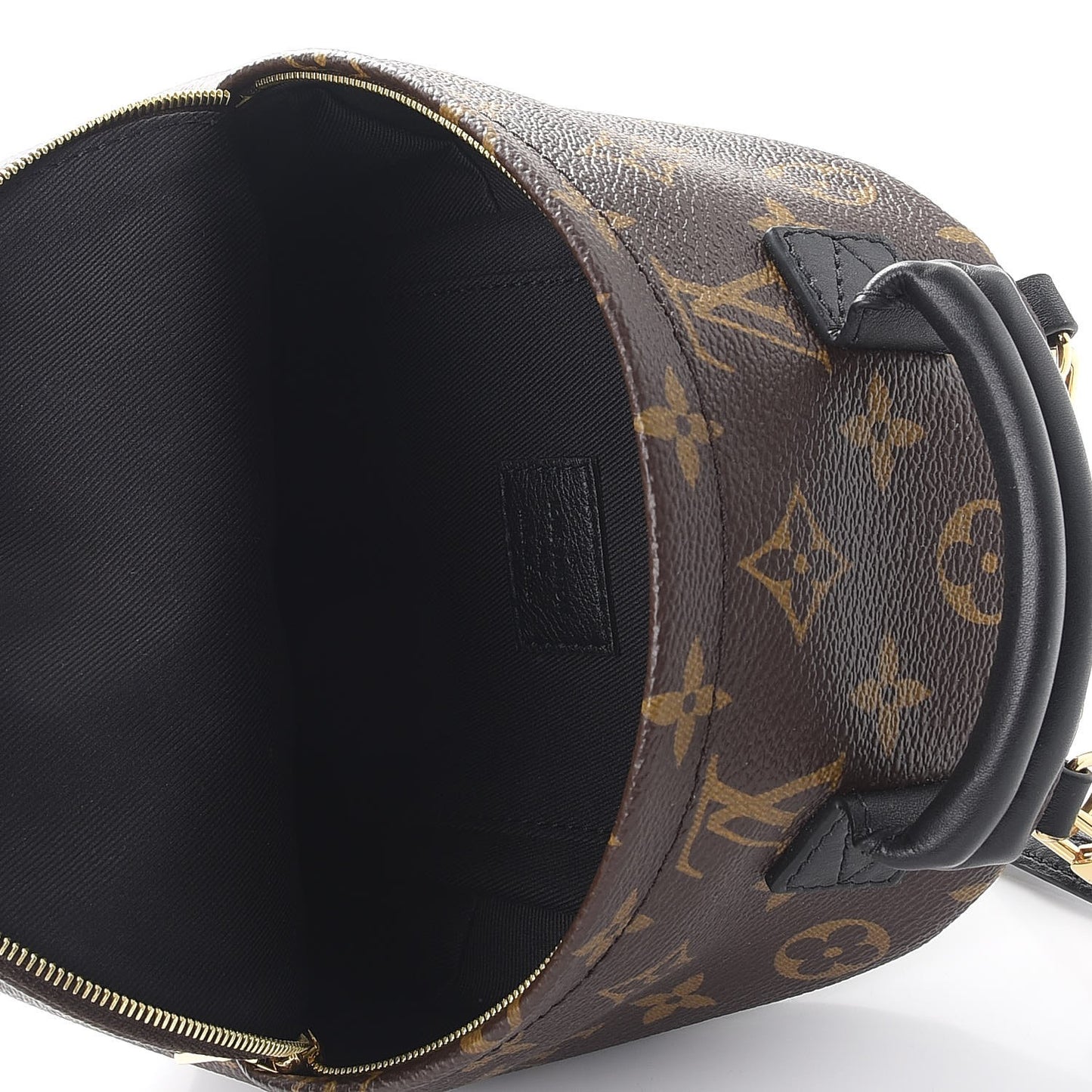 Monogram Palm Springs Backpack Mini