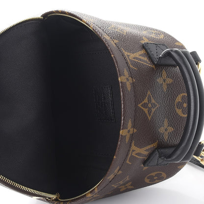 Louis Vuitton Monogram Palm Springs Backpack Mini 5 of 8