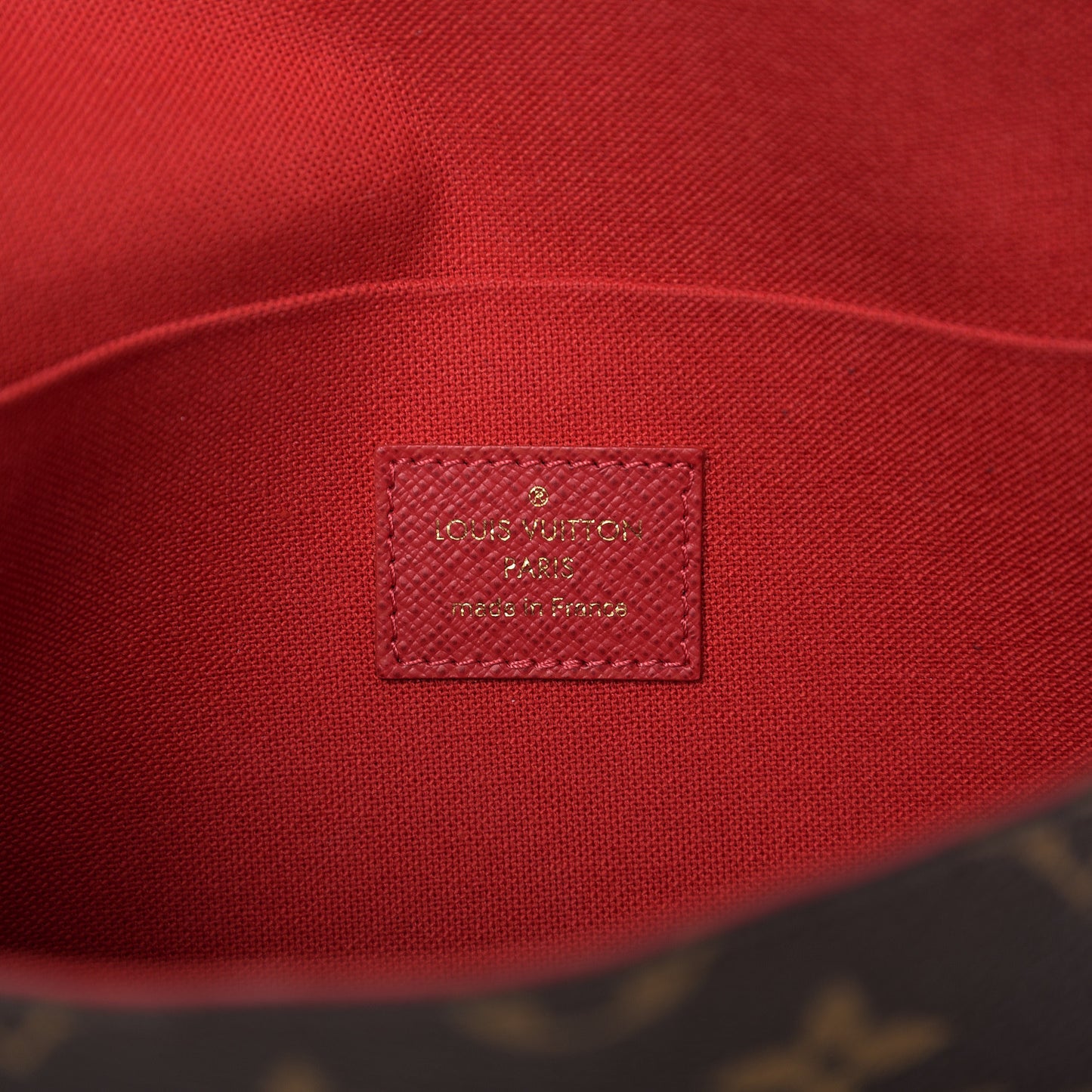 Monogram World Tour Pochette Felicie