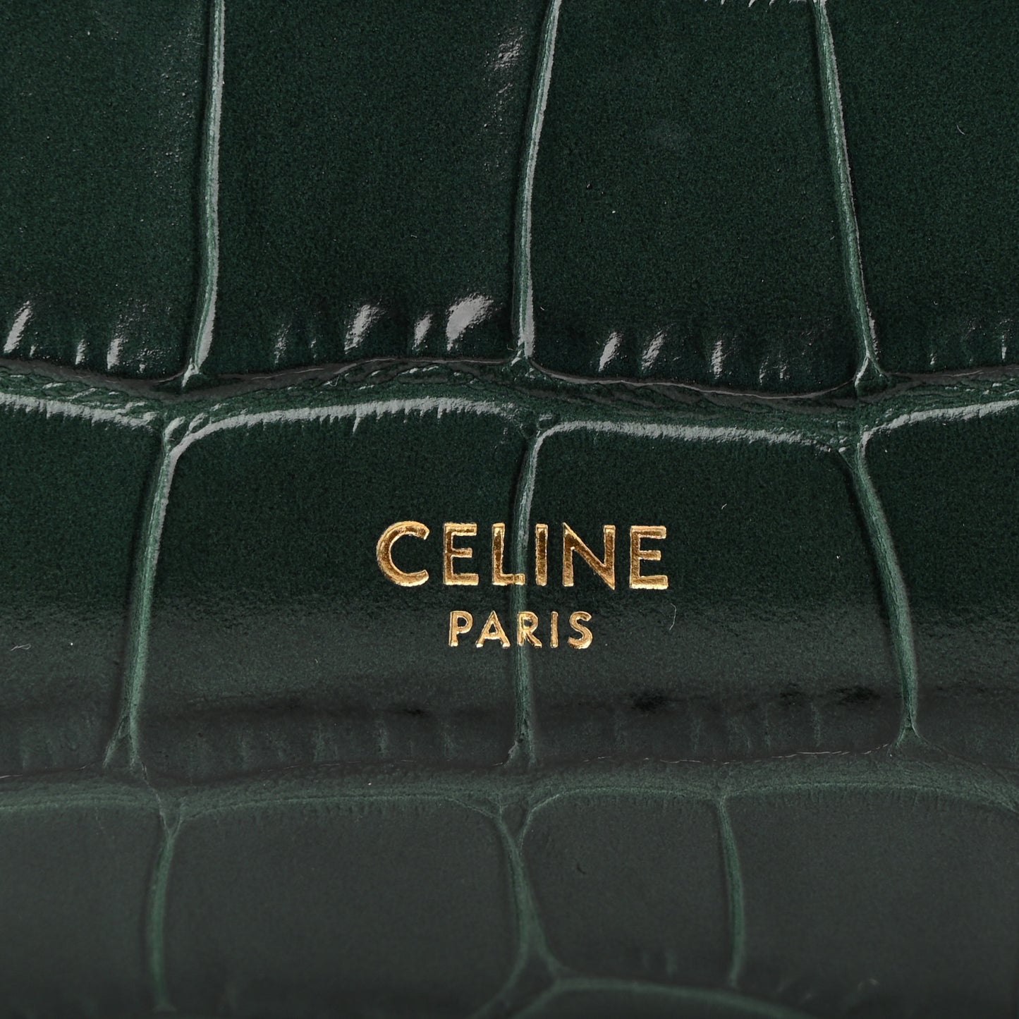 Calfskin Crocodile Embossed Nano Belt Bag Amazone