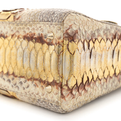 Christian Dior Metallic Snakeskin Medium Lady Dior Beige Gold 10 of 10