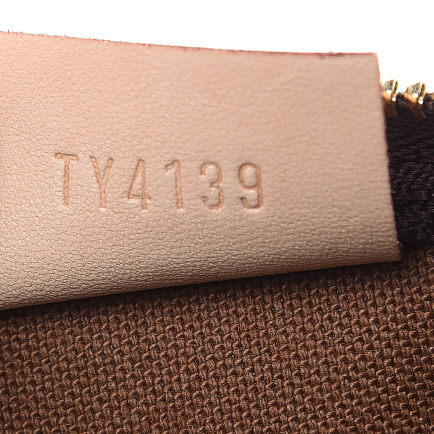 Monogram Nano Speedy