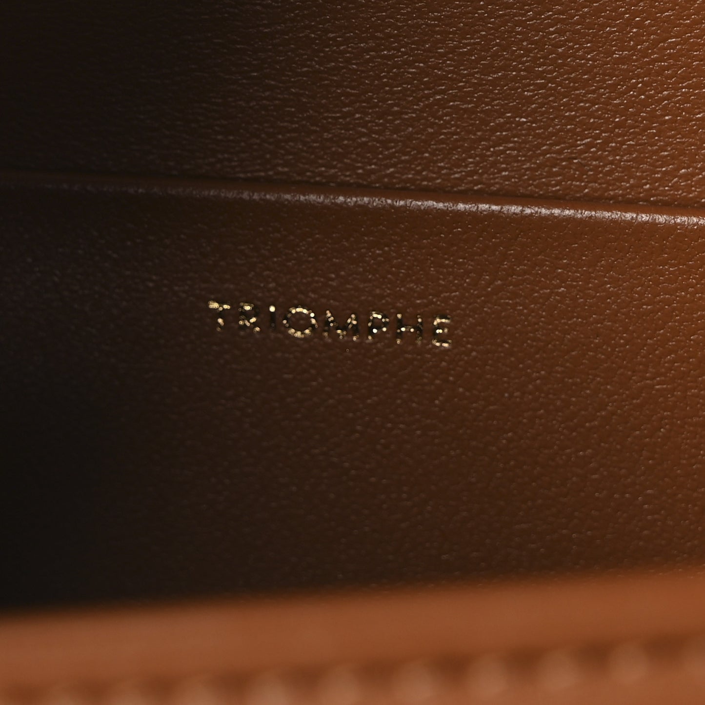Natural Calfskin Medium Triomphe Tan