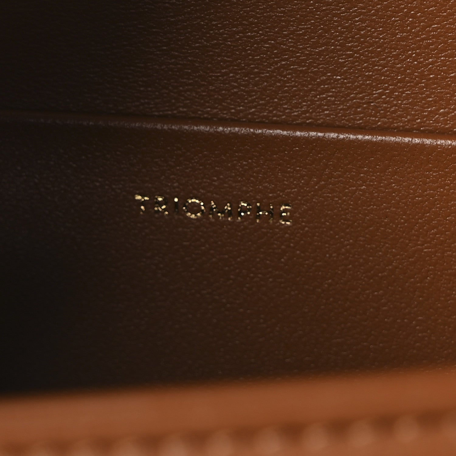 Celine Natural Calfskin Medium Triomphe Tan 7 of 10