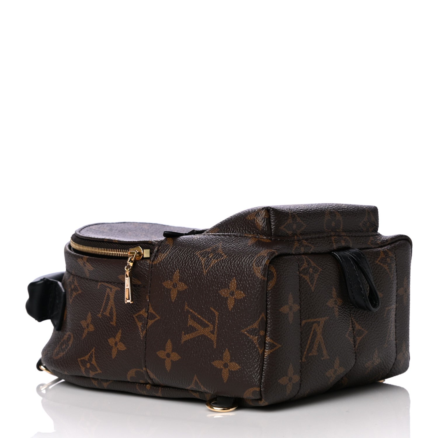 Louis Vuitton Monogram Palm Springs Backpack Mini 5 of 7