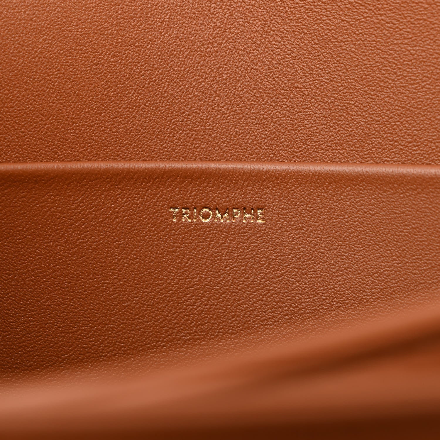 Celine Natural Calfskin Triomphe Tan 9 of 12
