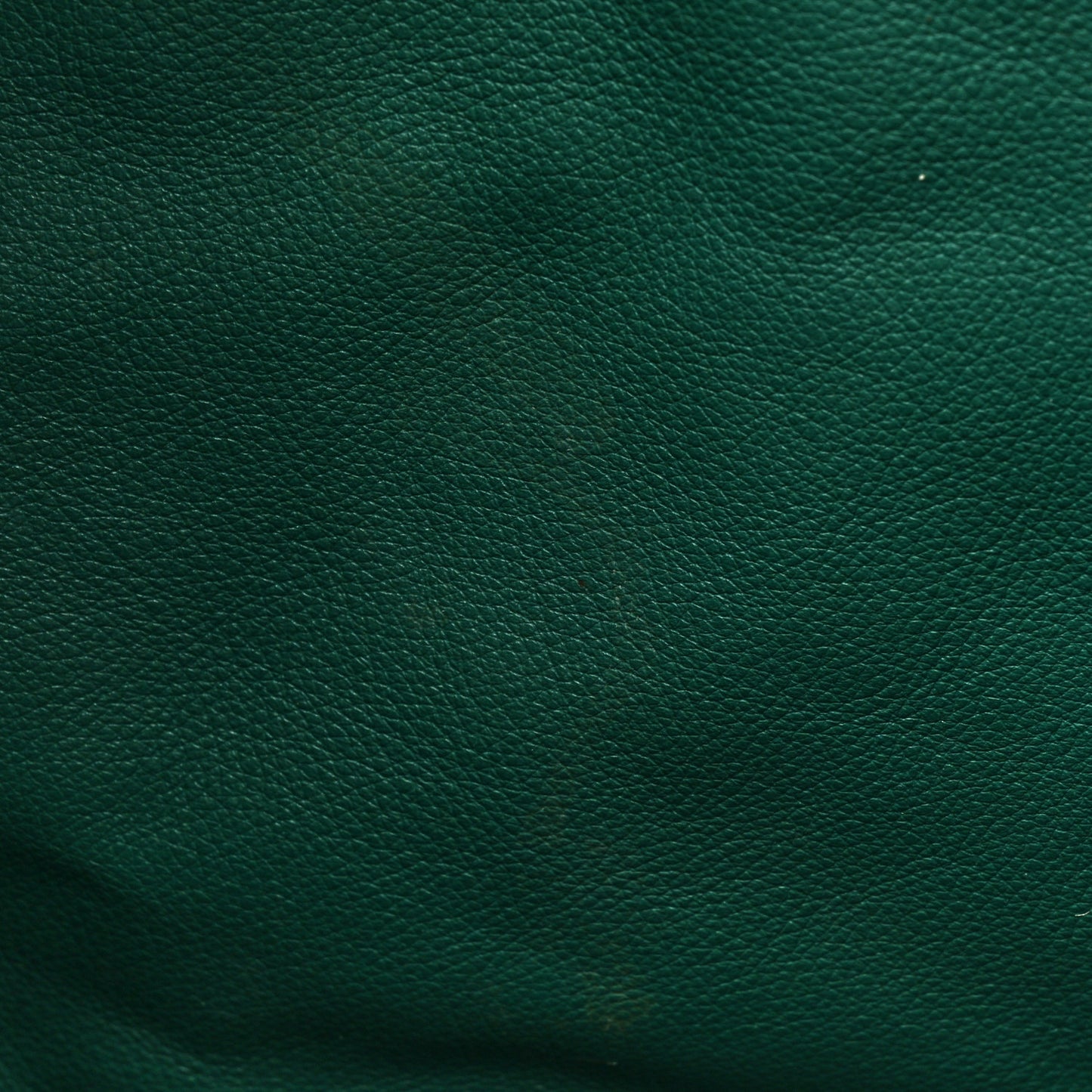 Goyardine Saint Louis GM Green
