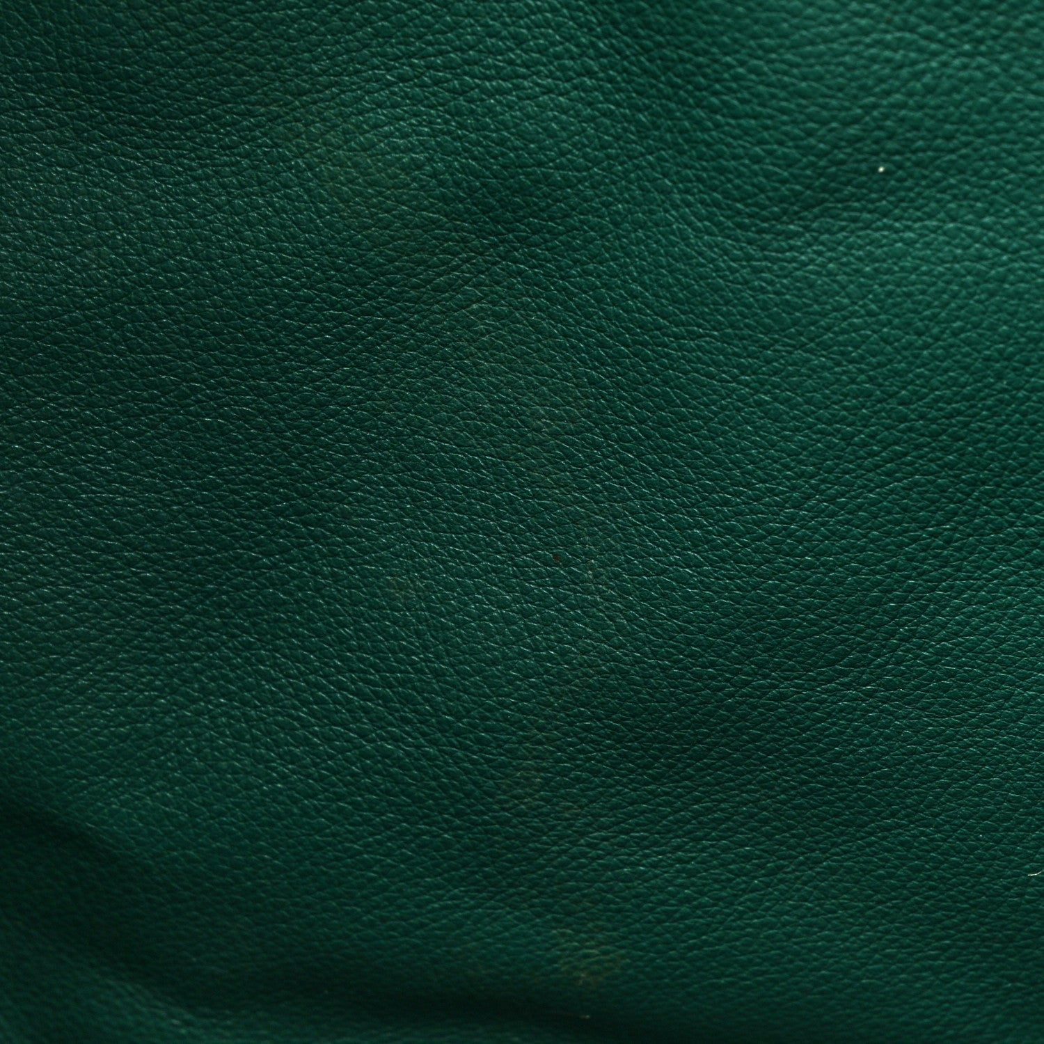 Goyard Goyardine Saint Louis GM Green 17 of 24