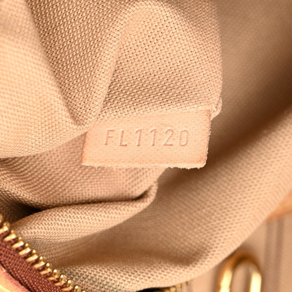 Louis Vuitton Monogram Delightful MM 7 of 10