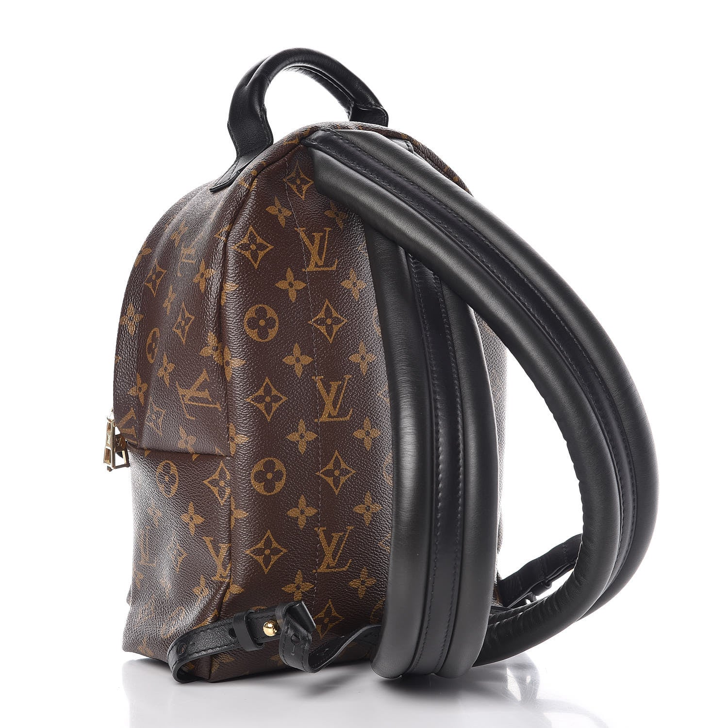 Louis Vuitton Monogram Palm Springs Backpack PM 3 of 8