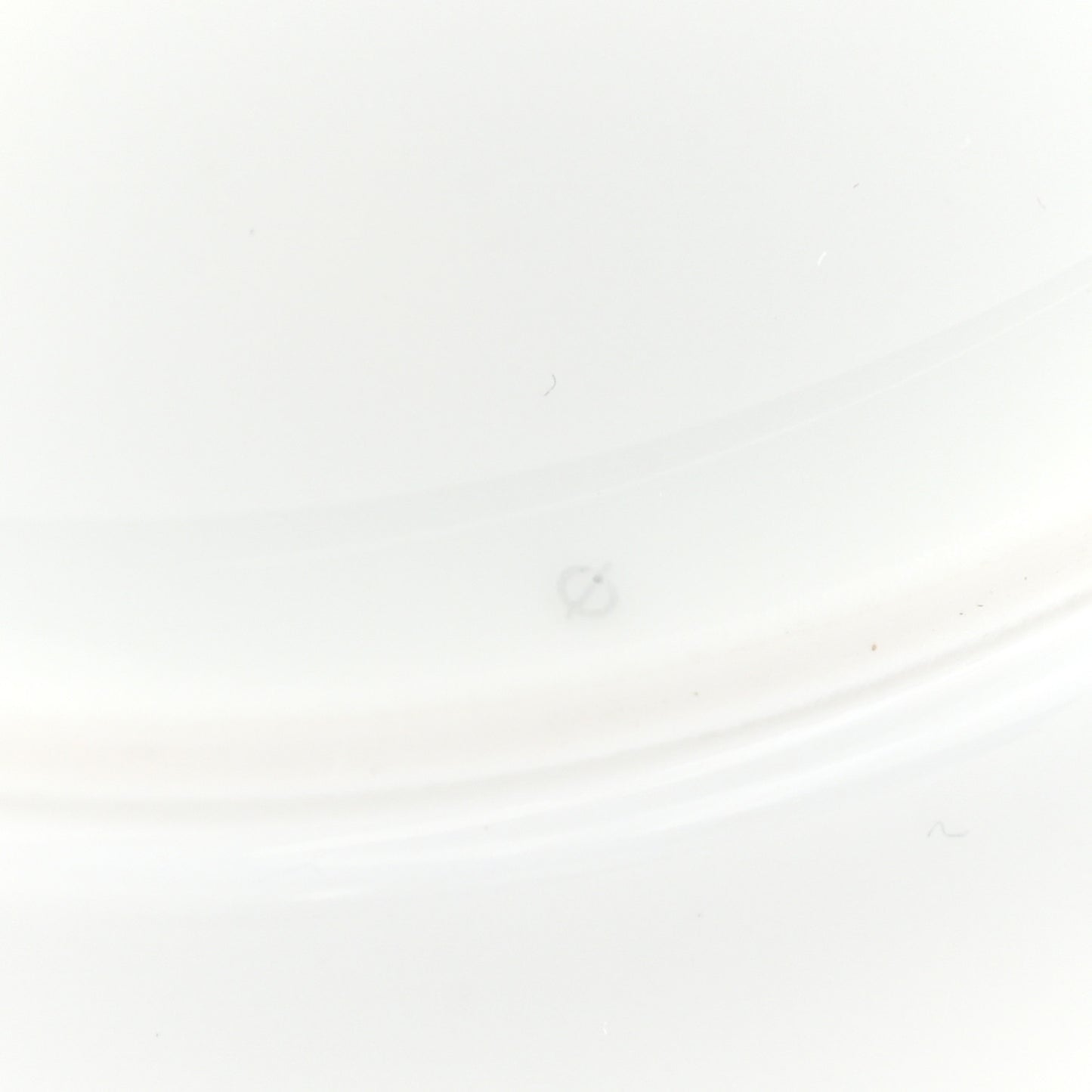 Porcelain Passifolia Dinner Plate N°2