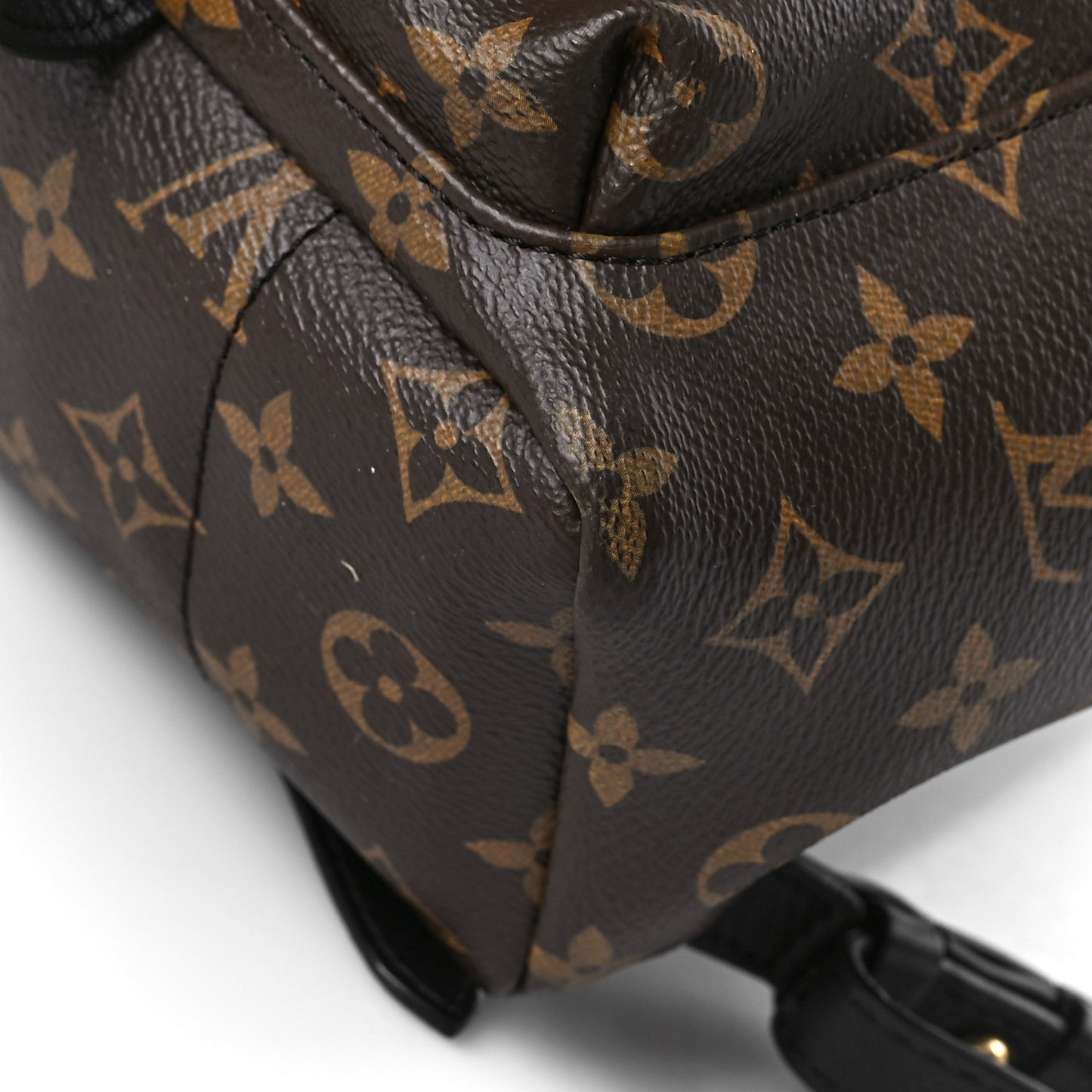 Monogram Palm Springs Backpack PM