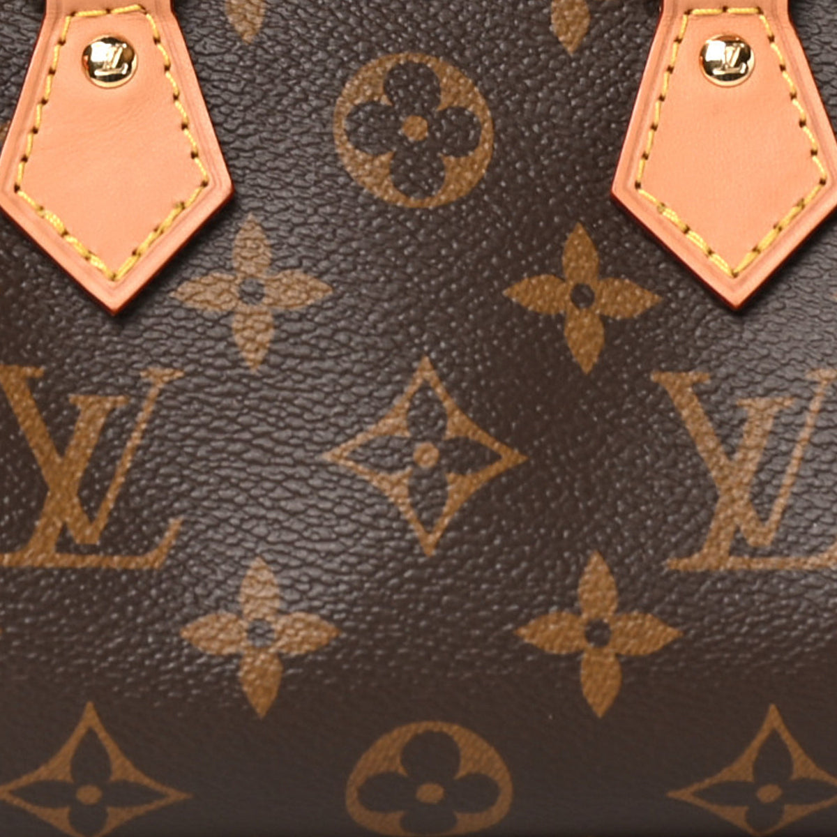Monogram Nano Speedy