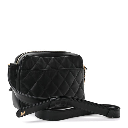 Chanel Calfskin Quilted Large Camera Case Black 3 of 10