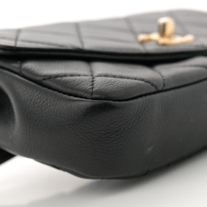 Chanel Calfskin Quilted Flap Waist Bag Black 9 of 12