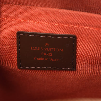 Louis Vuitton Damier Ebene Ribera MM 6 of 18