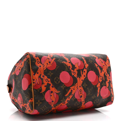 Louis Vuitton Monogram Ramages Speedy 30 Grenade 4 of 10