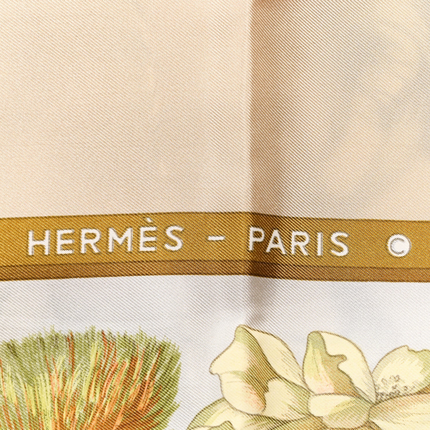 Hermes Silk Regina Scarf 90 5 of 8