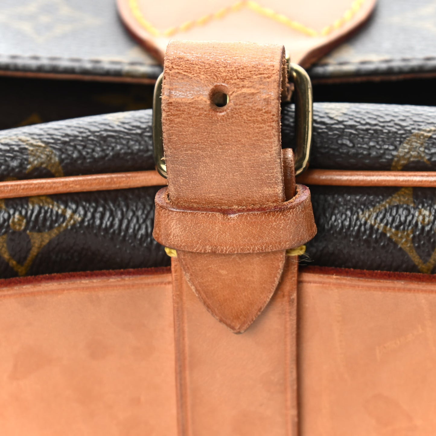Monogram Cartouchiere 22