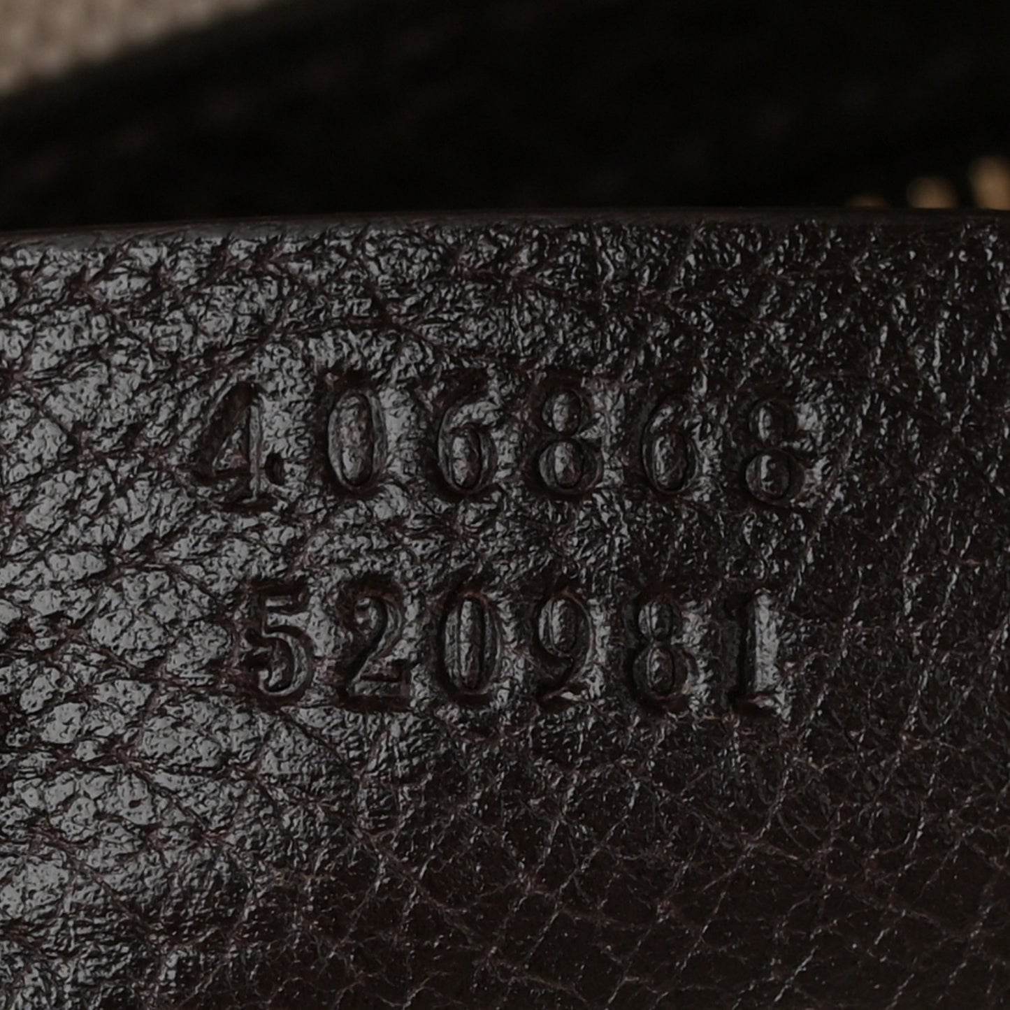 Monogram Vintage Web Medium Webby Bee Boston Dark Brown