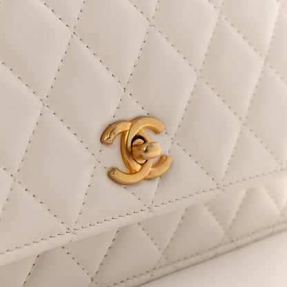 Chanel Shiny Calfskin Quilted Multicolor Top Handle Wallet On Chain WOC White 12 of 15