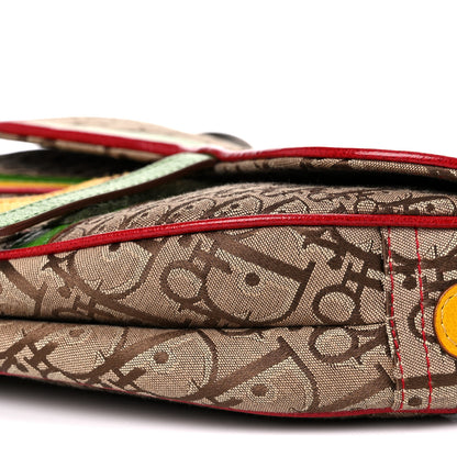Christian Dior Monogram Rasta Saddle Bag Beige 9 of 14