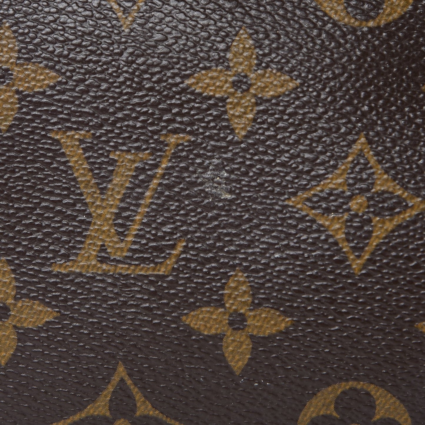 Monogram Eva Clutch