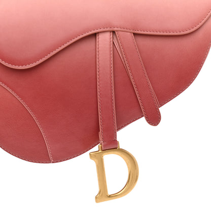 Christian Dior Gradient Calfskin Saddle Bag Pink 8 of 10