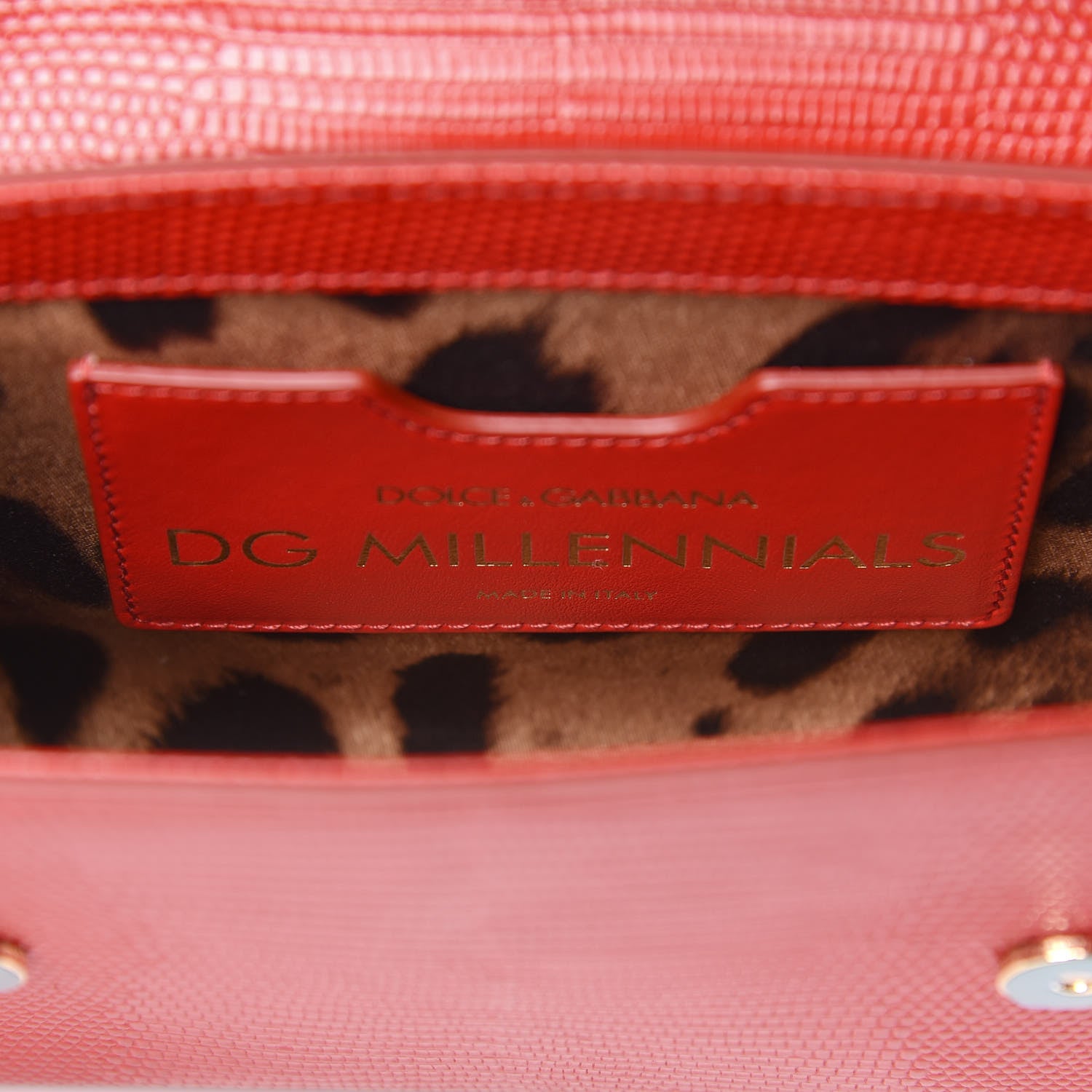 Dolce & Gabbana Stampa Iguana Calfskin Crystal Mini Milennials Shoulder Bag Rosso 6 of 8