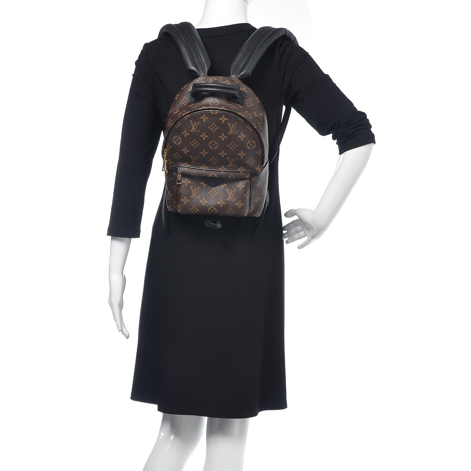 Louis Vuitton Monogram Palm Springs Backpack PM 2 of 9