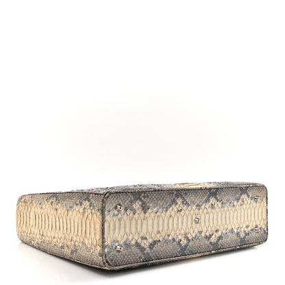 Christian Dior Snakeskin Extra Large Lady Dior Beige 4 of 10