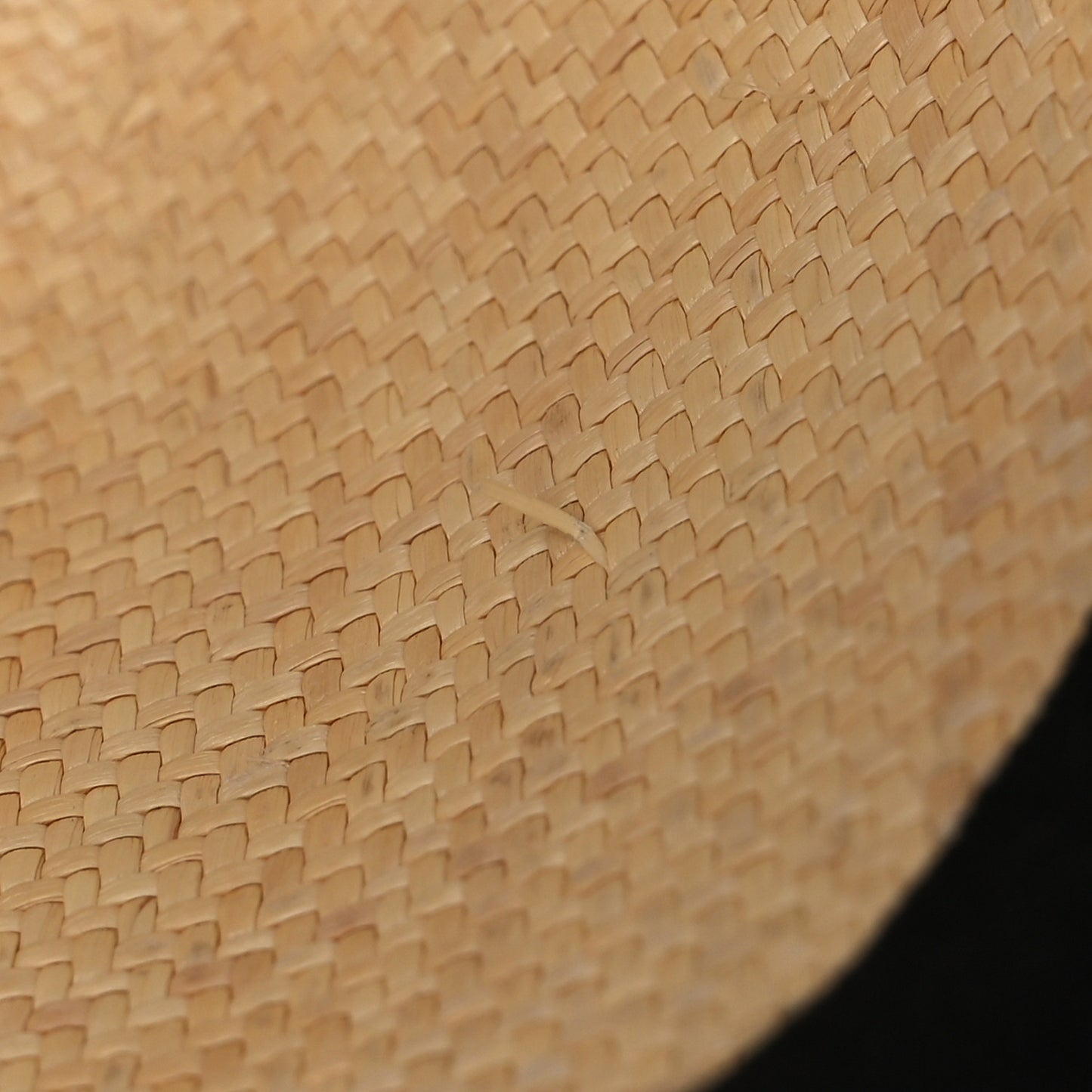 Straw Grosgrain Ribbon Fedora Hat M Beige Black