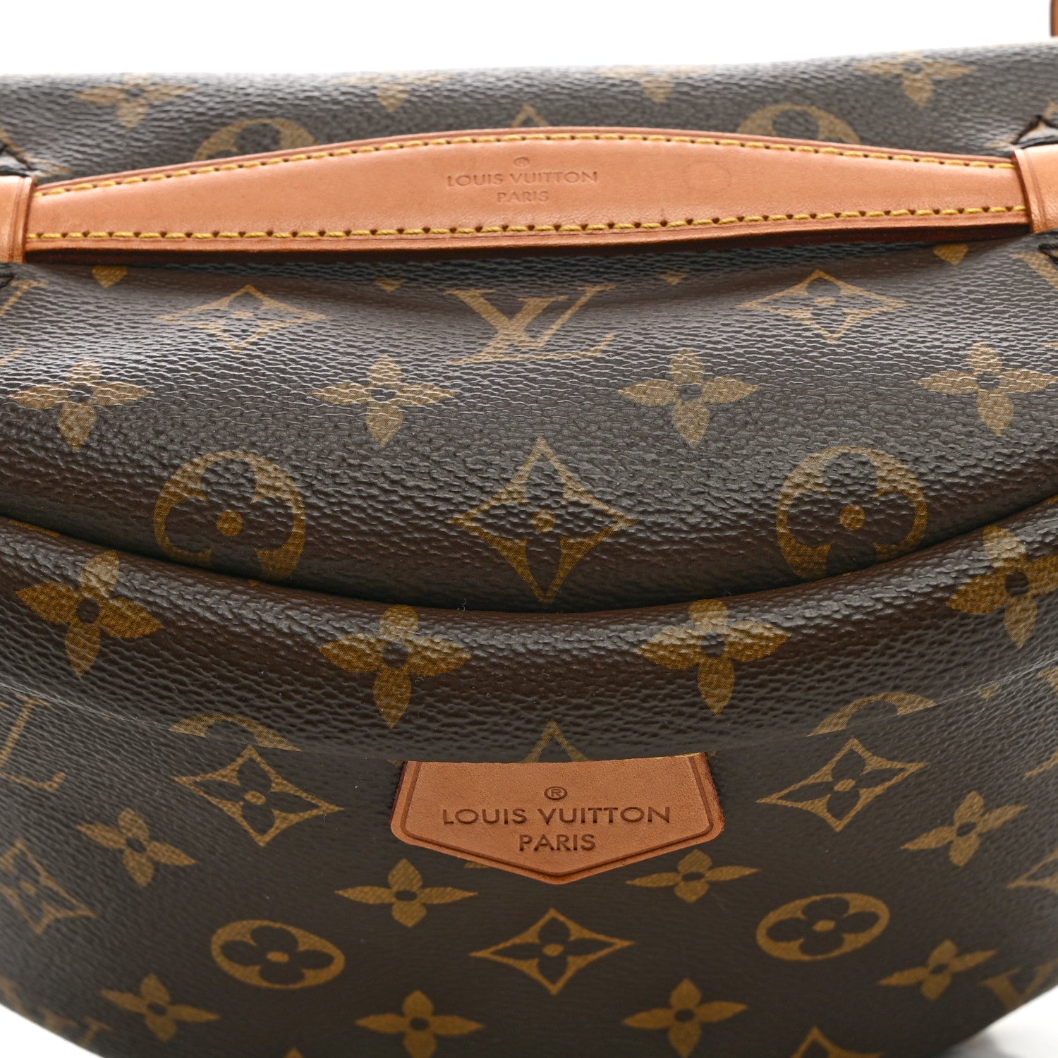 Louis Vuitton Monogram Bumbag 6 of 8