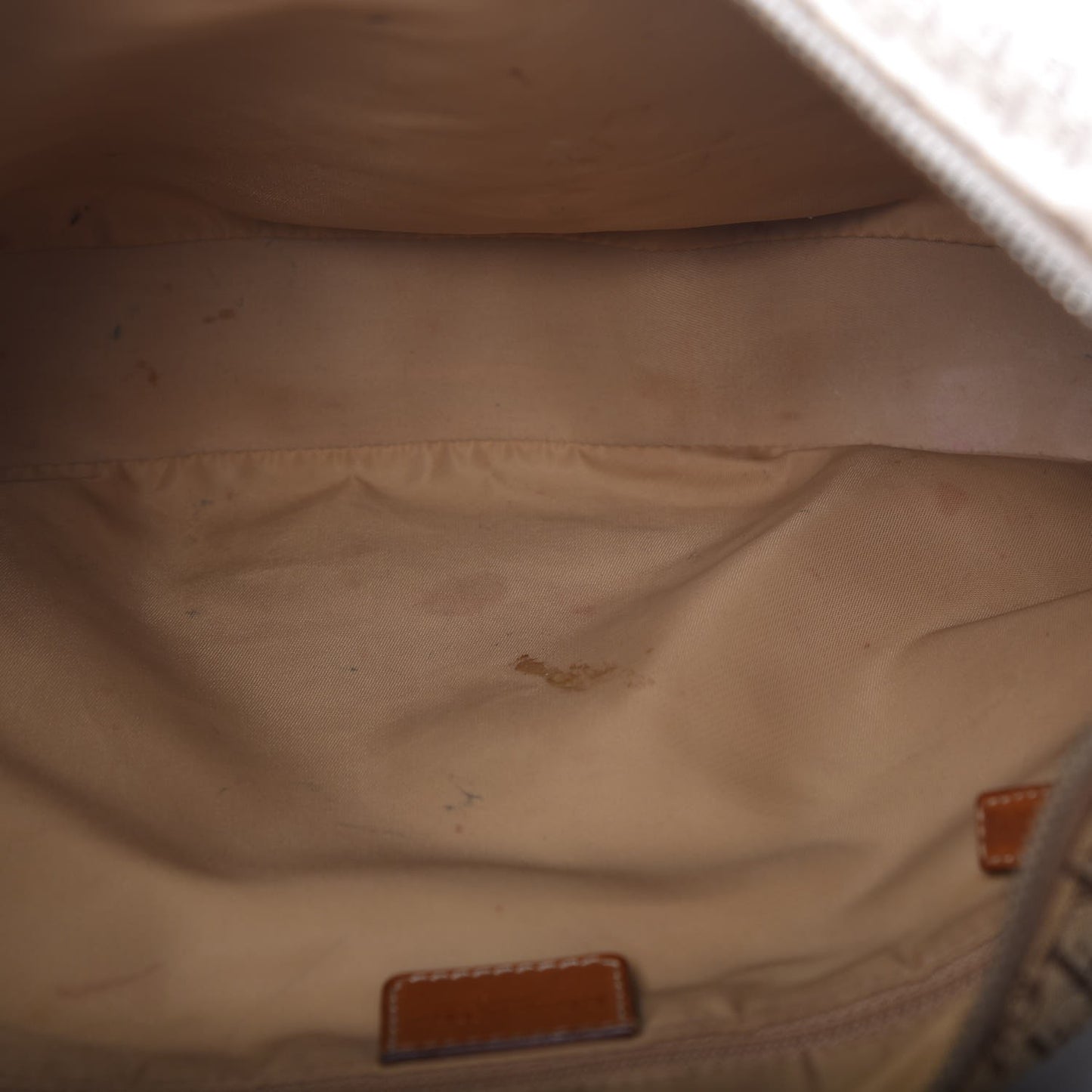 Monogram Street Chic Hobo Beige