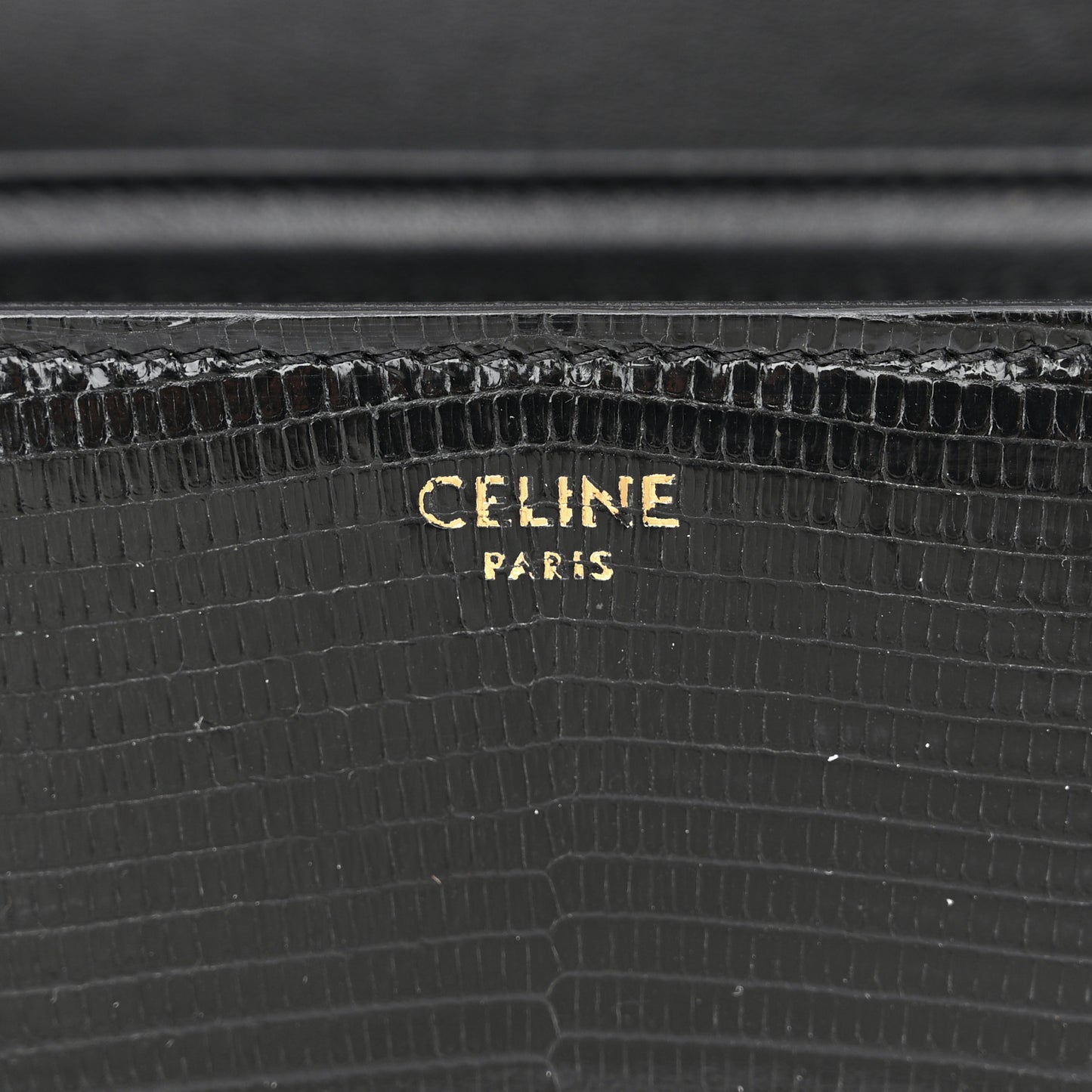 Lizard Teen Triomphe Black