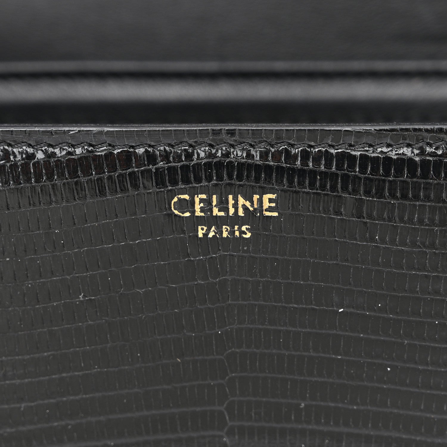 Celine Lizard Teen Triomphe Black 6 of 12