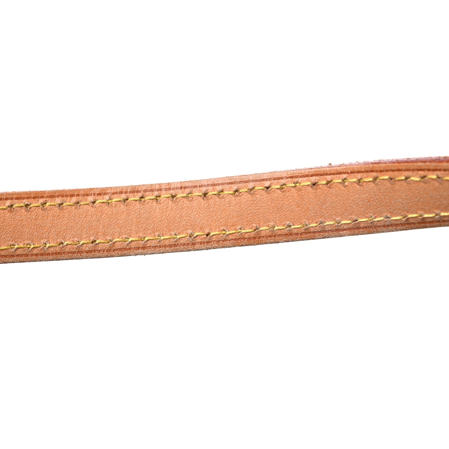 Monogram Papillon 30 With Companion