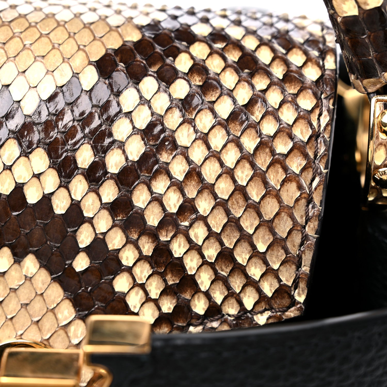 Louis Vuitton Taurillon Snakeskin Mini Capucines Black 11 of 12