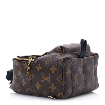 Louis Vuitton Monogram Palm Springs Backpack Mini 4 of 9