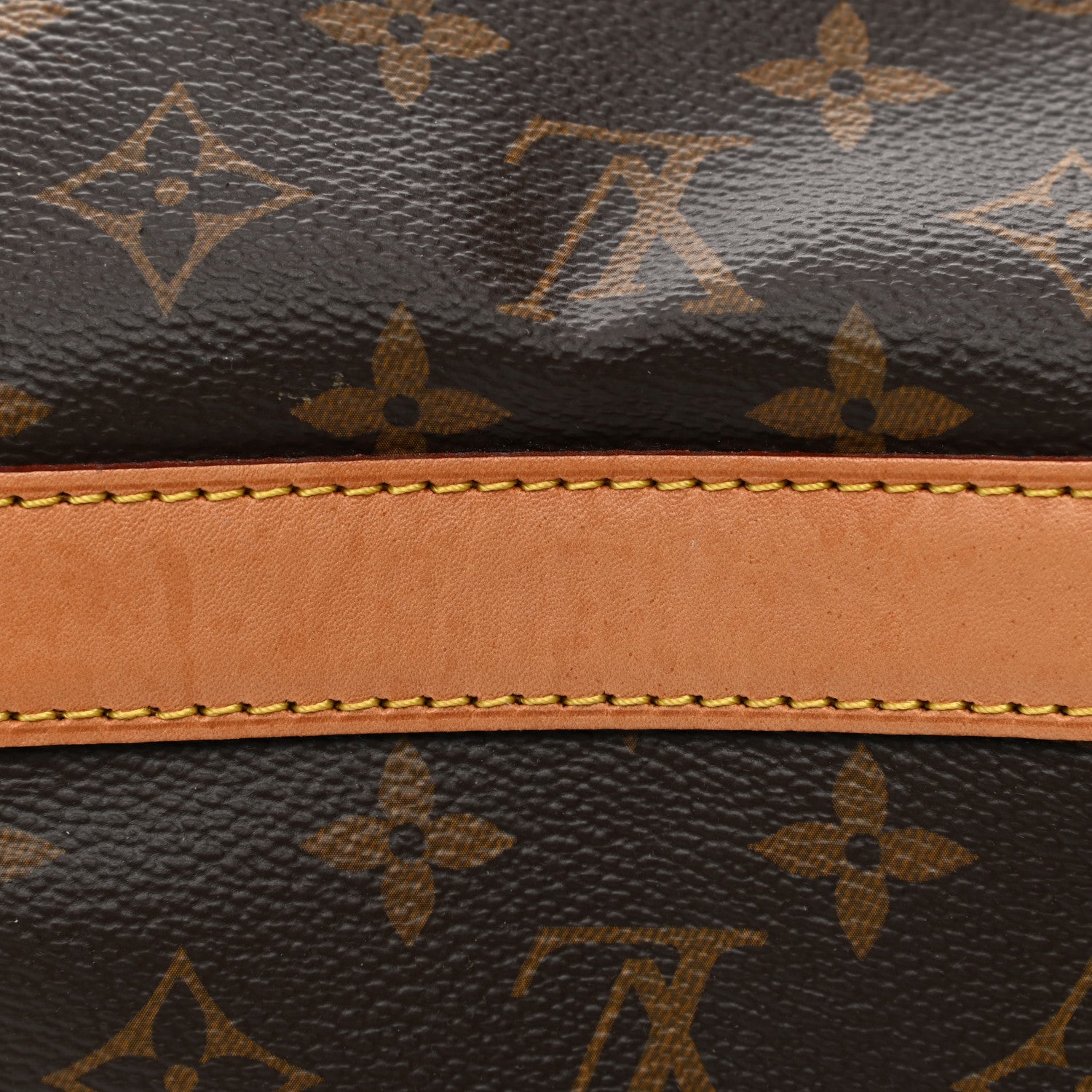 Louis Vuitton Monogram Sac Chien 40 Pet Carrier 10 of 14