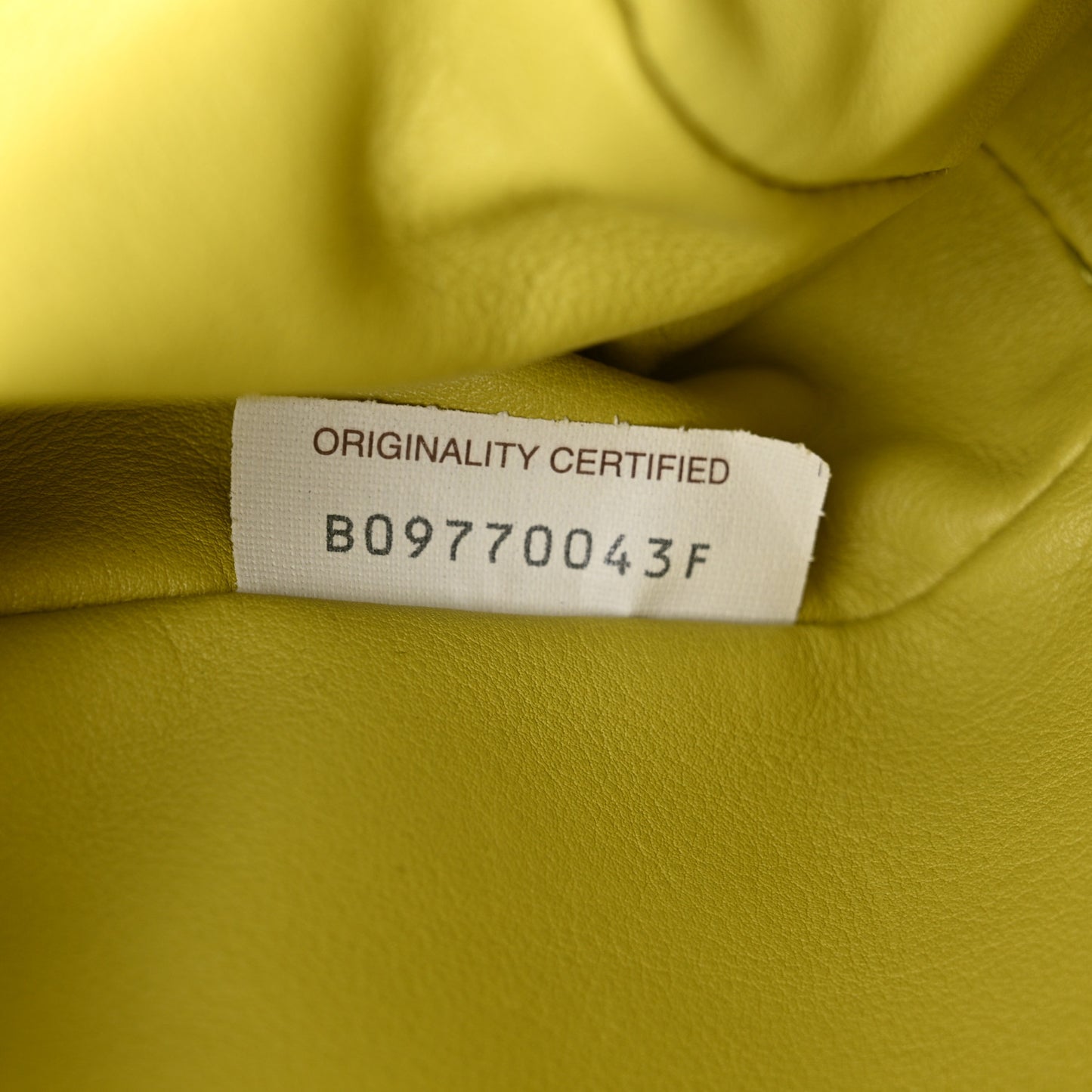 Butter Calfskin The Mini Pouch Kiwi