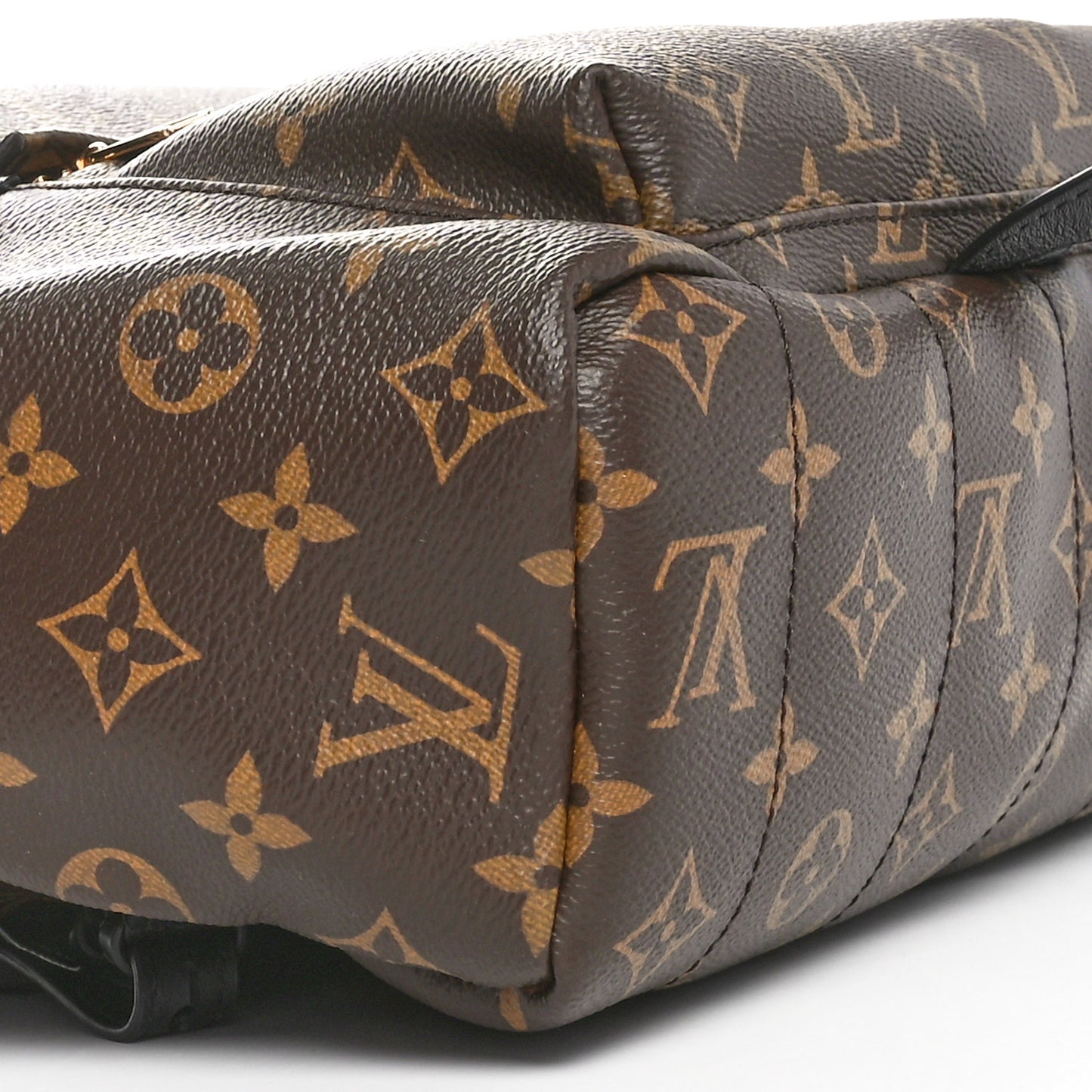 Monogram Palm Springs Backpack MM