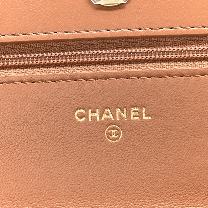 Chanel Lambskin Quilted Chanel 19 Wallet On Chain WOC Brown 9 of 12