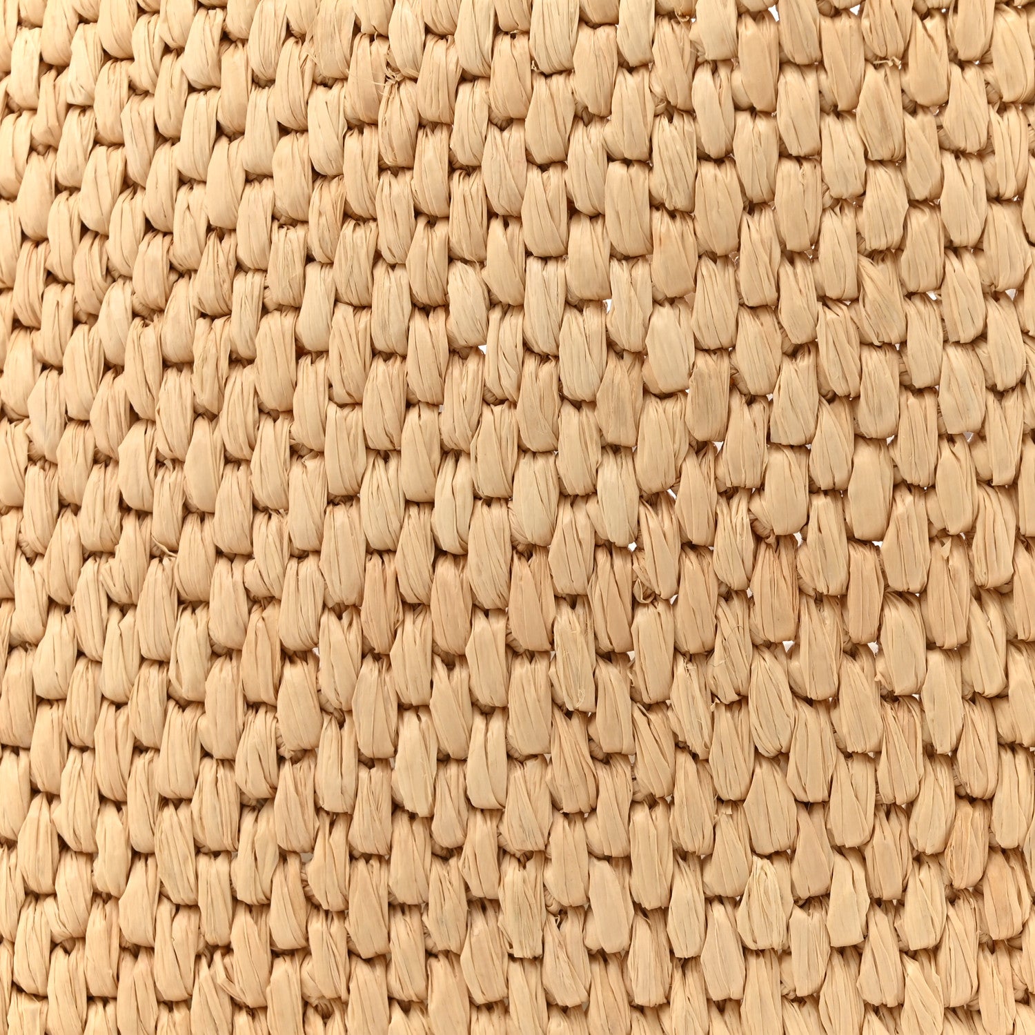 Loewe Raffia Small Paula's Ibiza Logo Tote Natural Tan 8 of 15