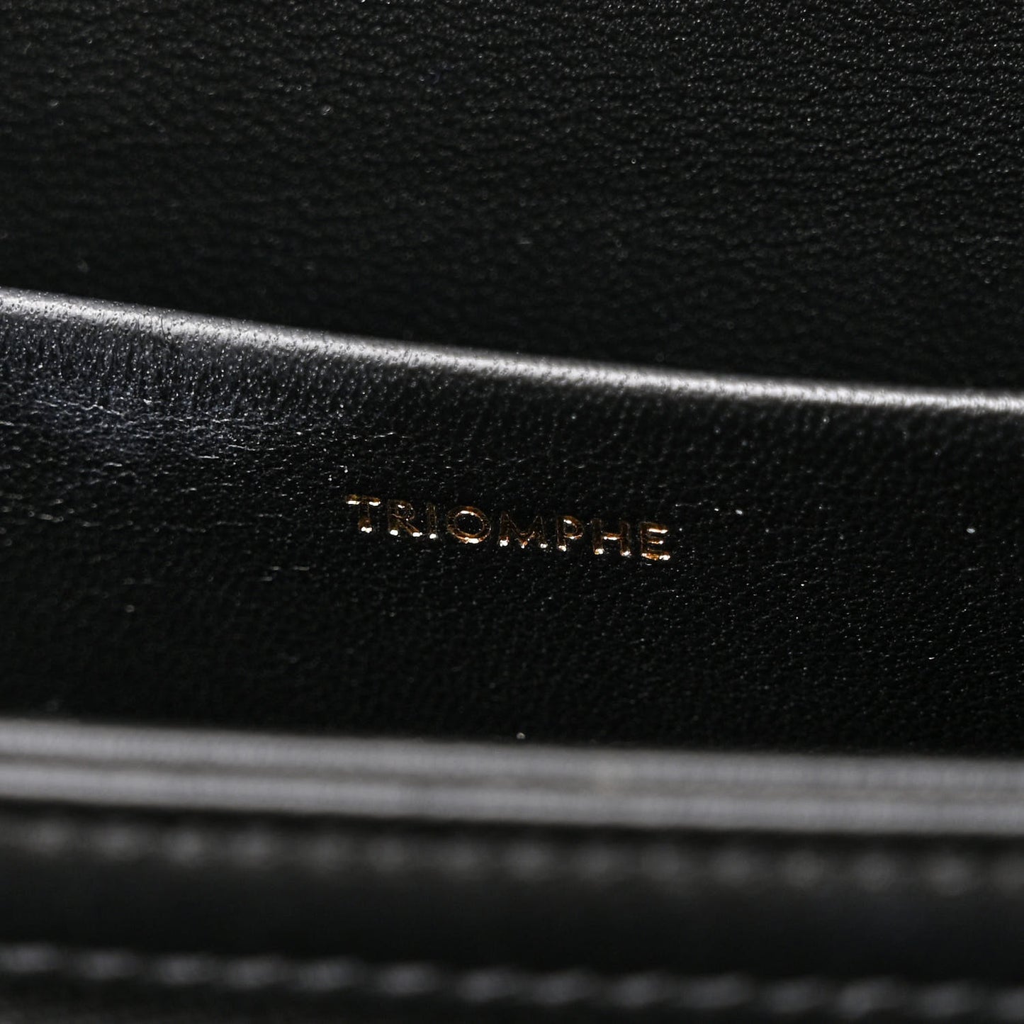 Canvas Calfskin Triomphe Embroidered Medium Triomphe Bag Black