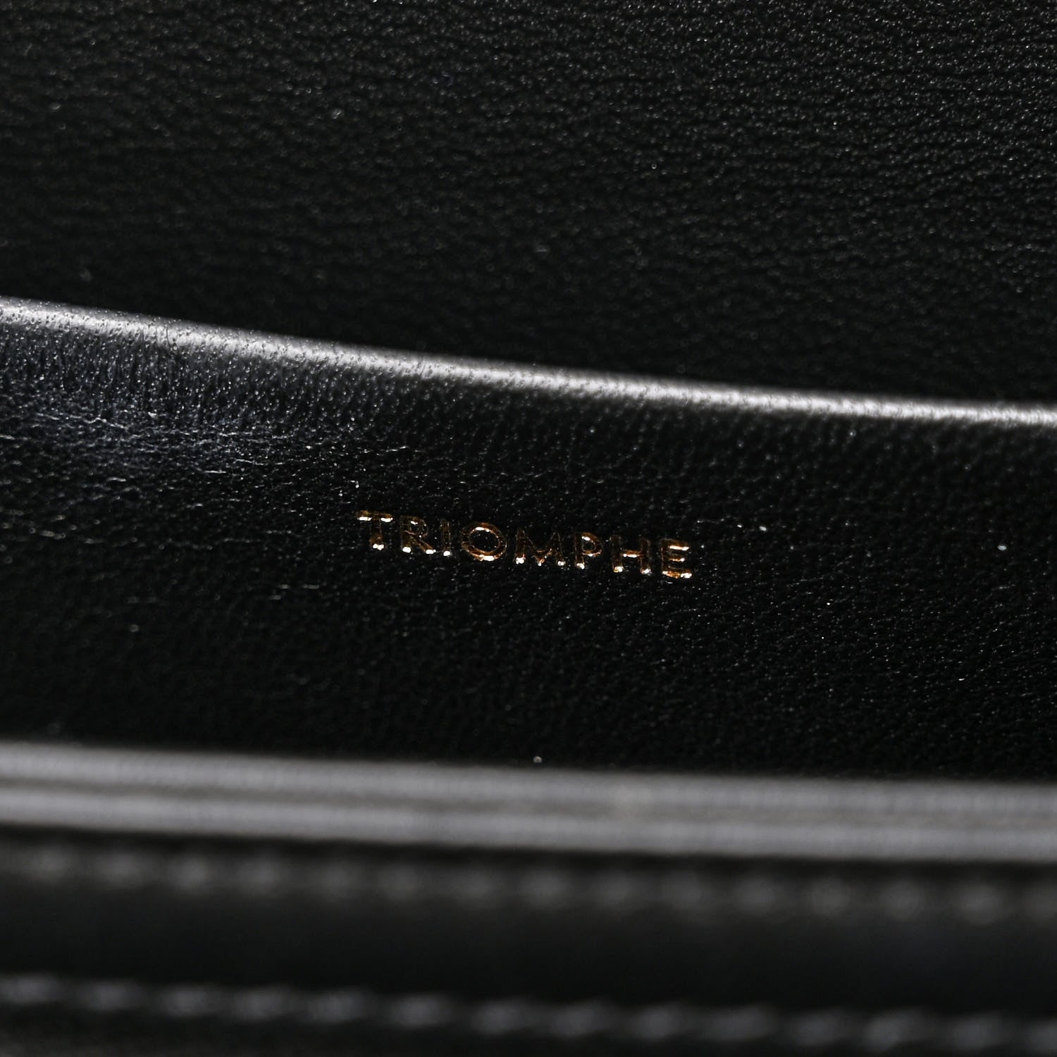 Celine Canvas Calfskin Triomphe Embroidered Medium Triomphe Bag Black 11 of 18