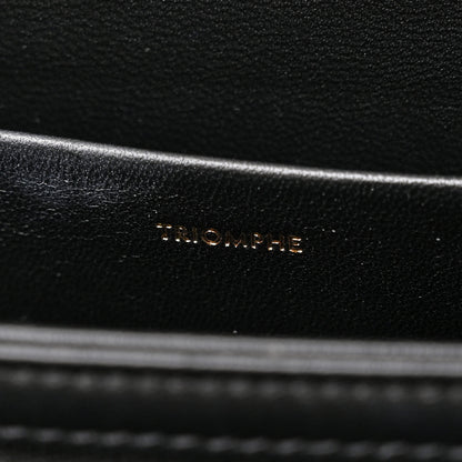 Celine Canvas Calfskin Triomphe Embroidered Medium Triomphe Bag Black 11 of 18