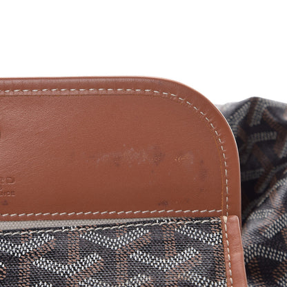 Goyard Goyardine Saint Louis PM Black Gold 10 of 13
