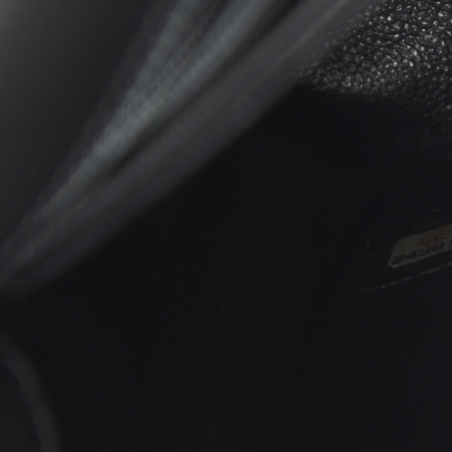 Caviar Lizard Quilted Mini Coco Handle Flap Black